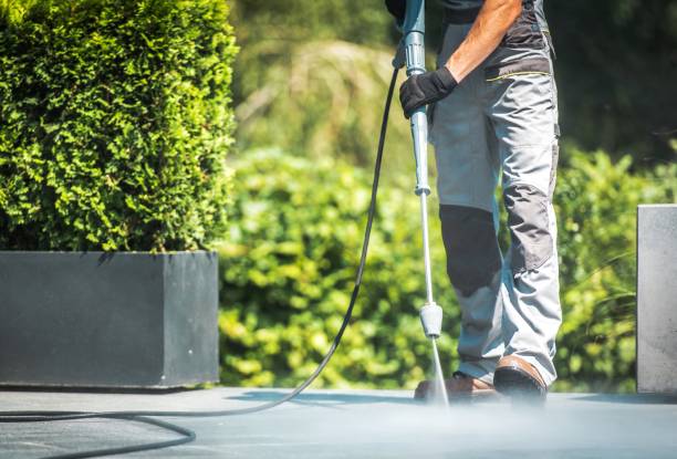 Animal Enclosure Cleaning in Pomona, NJ