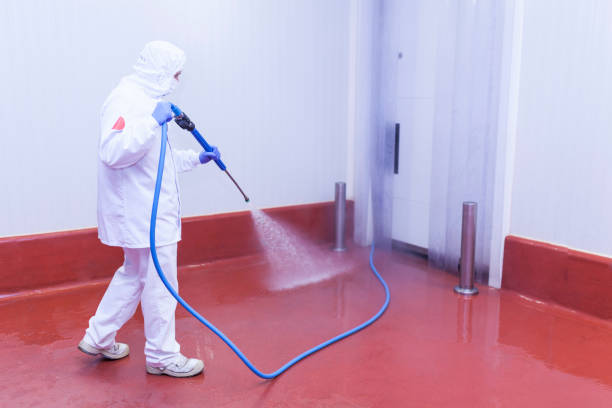 Best Warehouse Cleaning  in Pomona, NJ