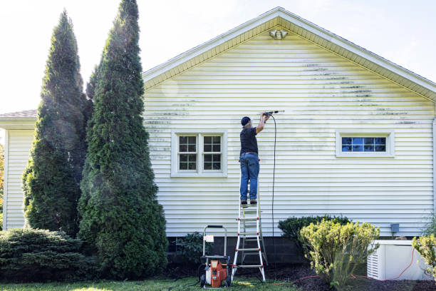 Best Roof Washing  in Pomona, NJ